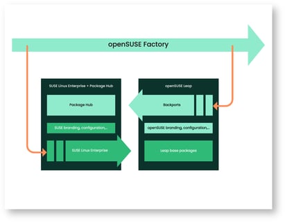 closing-the-leap-gap